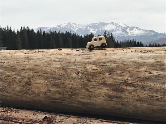 Houten auto - Offroad - Terreinwagen - Jeep