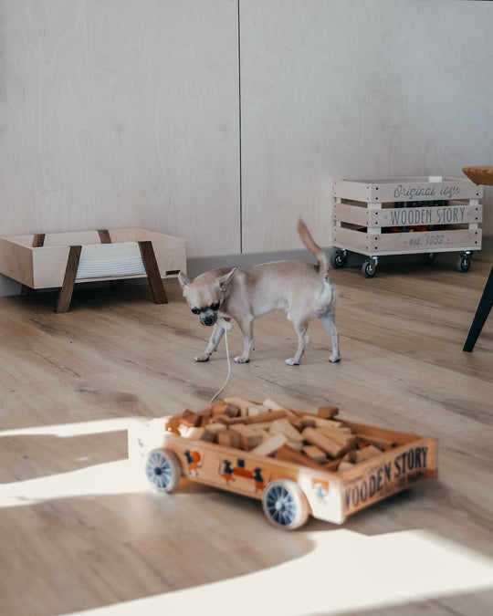 Wooden Story Houten karretje