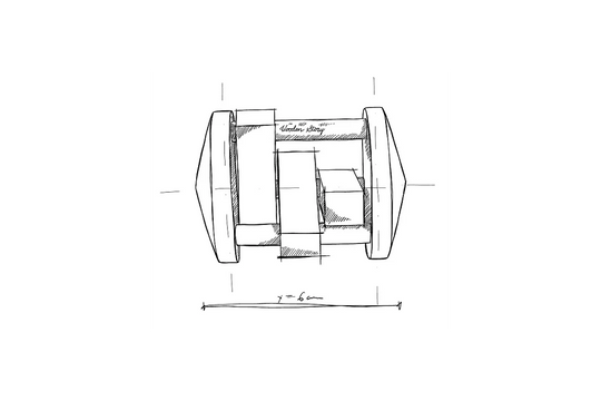 Houten ratel - Fieldfare - Kramsvogel