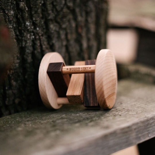 Houten ratel - Fieldfare - Kramsvogel