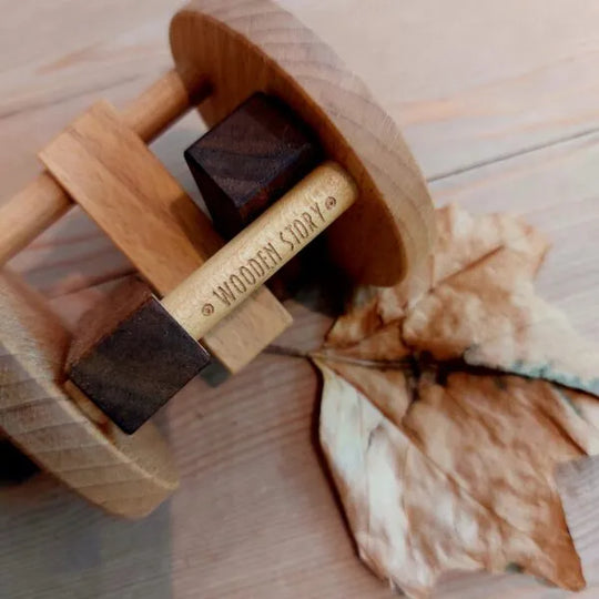 Houten ratel - Fieldfare - Kramsvogel