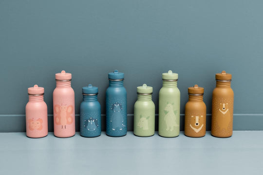 Stainless Steel Bottle 500 ml - Mr. Triceratops