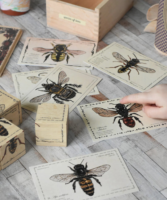 Houten blokken bijenleven - soorten bijen