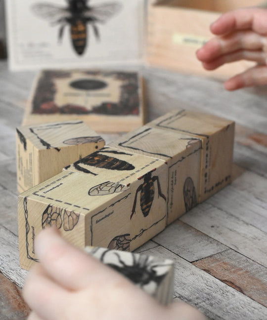 Houten blokken bijenleven - soorten bijen