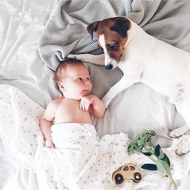 Houten auto - Jaren 30 - 1930s