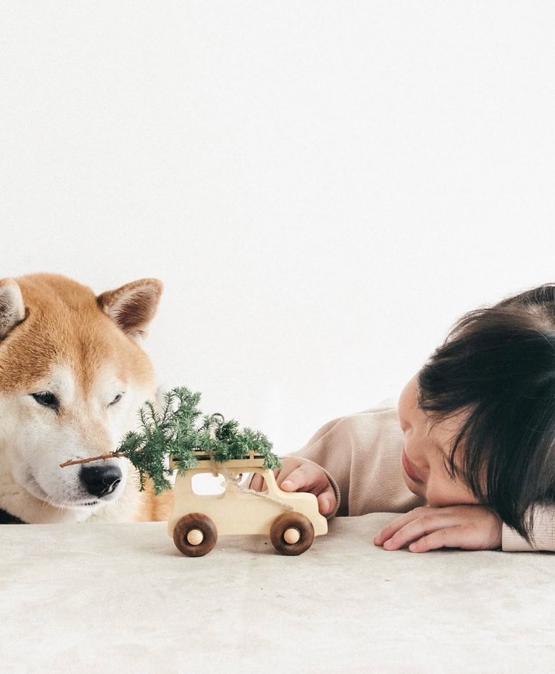 Houten auto - Offroad - Terreinwagen - Jeep