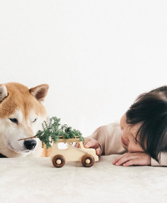 Houten auto - Offroad - Terreinwagen - Jeep