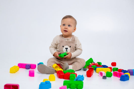 Zachte Bioblokken Set - 42 stuks