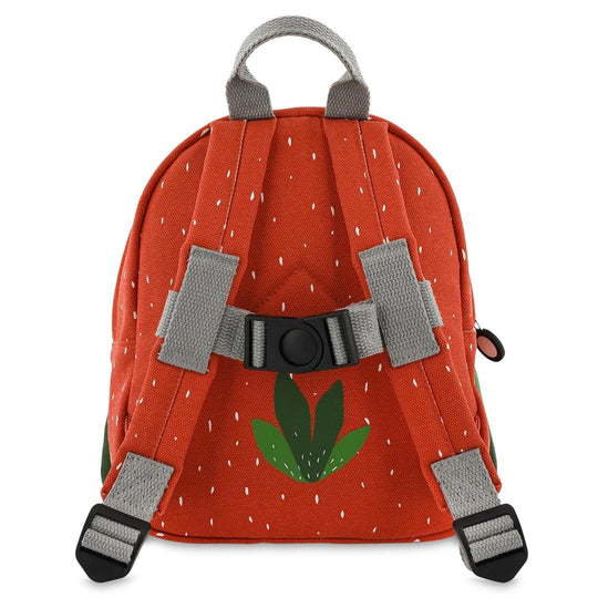 Backpack - Mr. Parrot