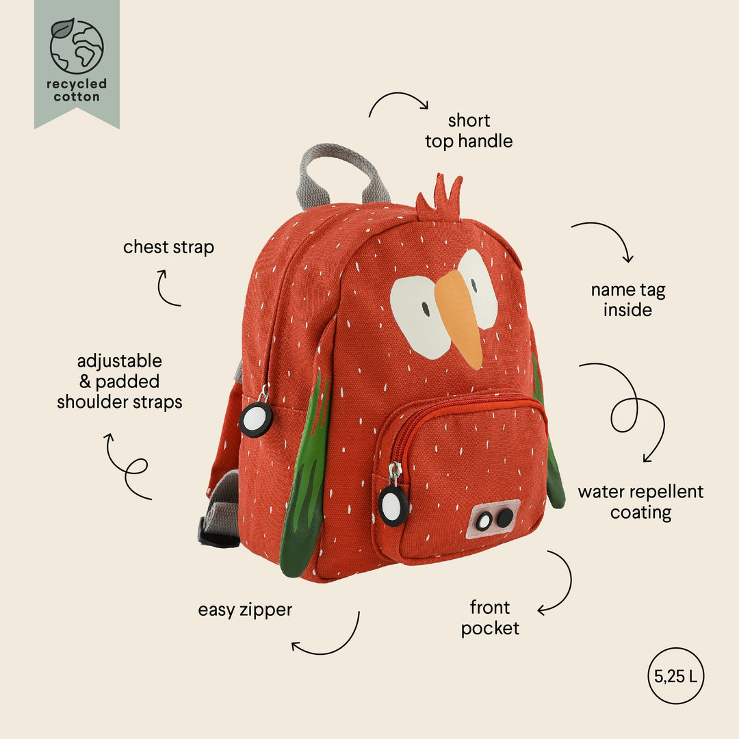 Backpack - Mr. Parrot