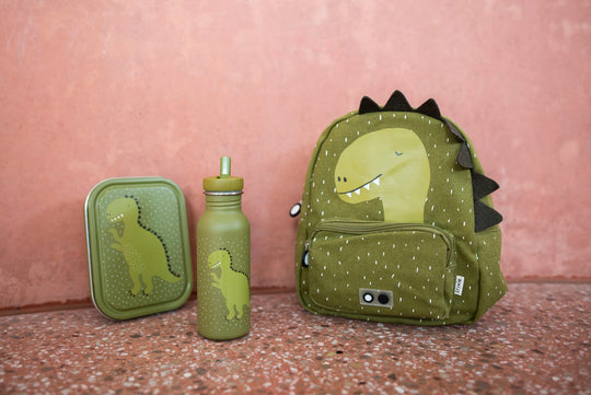 Large Lunch Box - Mr. Dino