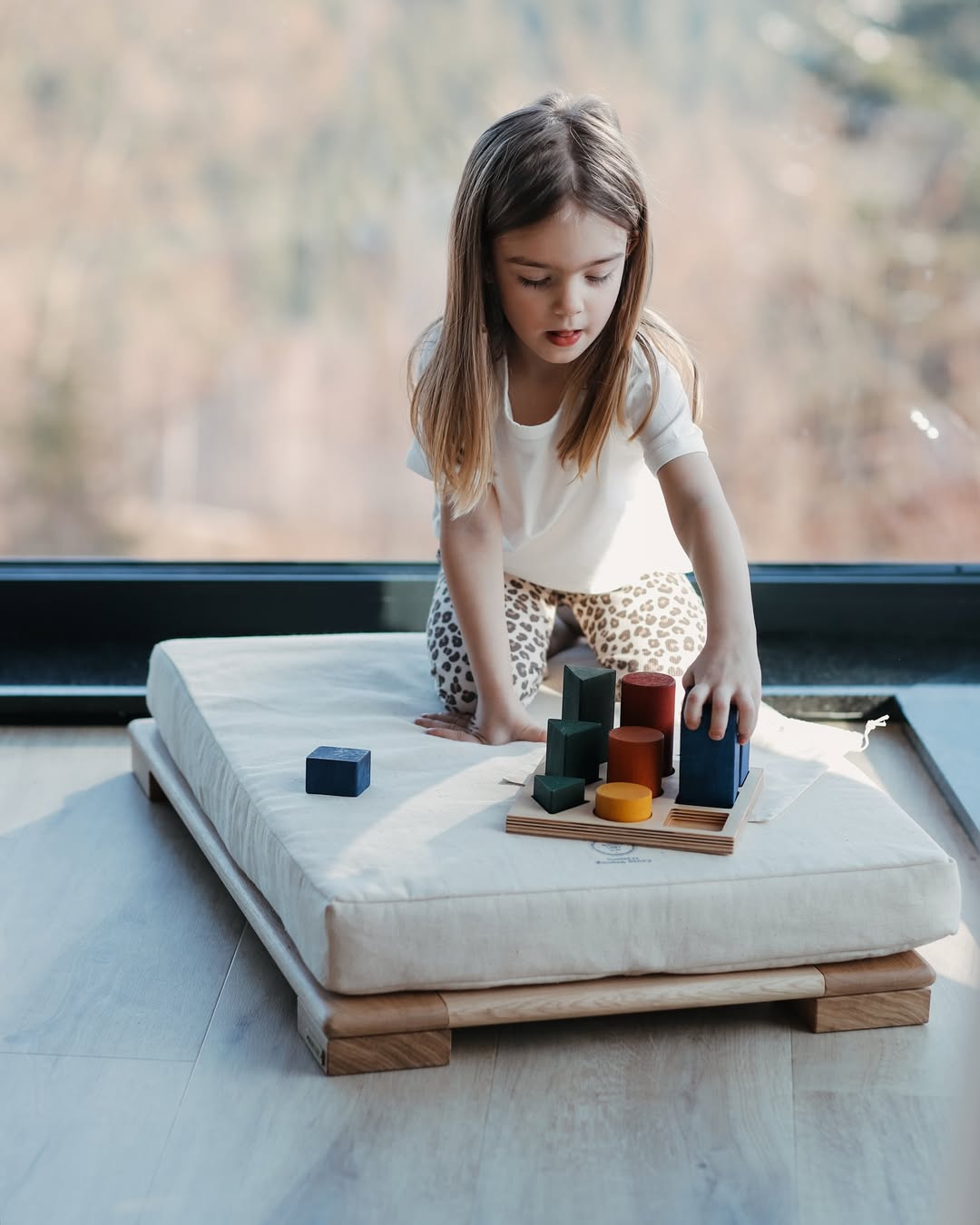 Houten vormensorteerblokken - Kleuren XL