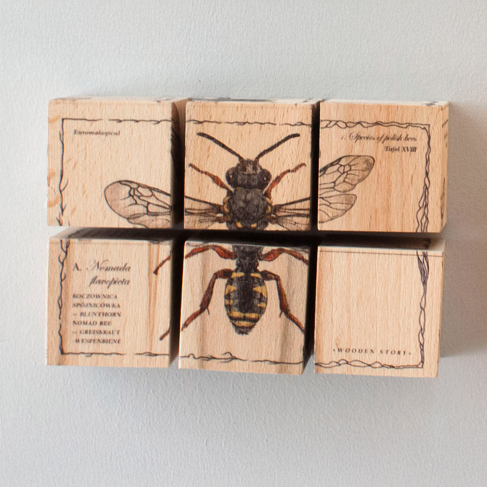 Houten blokken bijenleven - soorten bijen