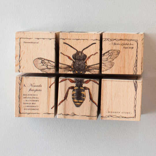 Houten blokken bijenleven - soorten bijen