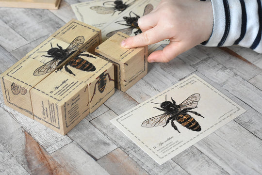 Houten blokken bijenleven - soorten bijen