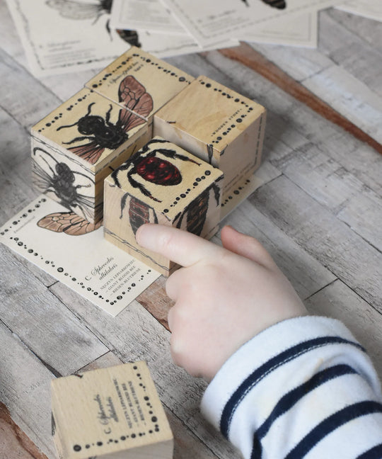 Houten blokken bijenleven - soorten bijen