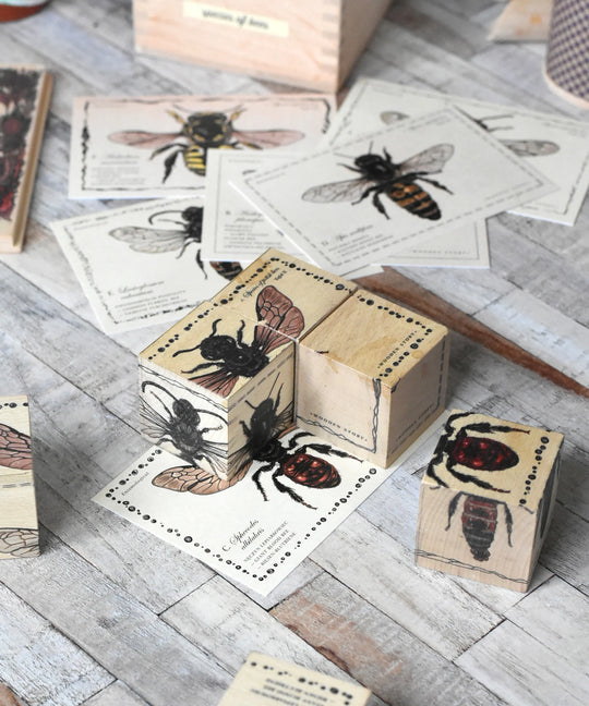 Houten blokken bijenleven - soorten bijen