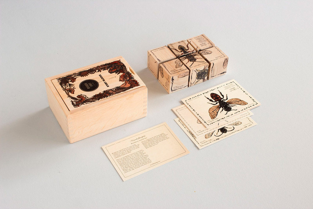 Houten blokken bijenleven - soorten bijen